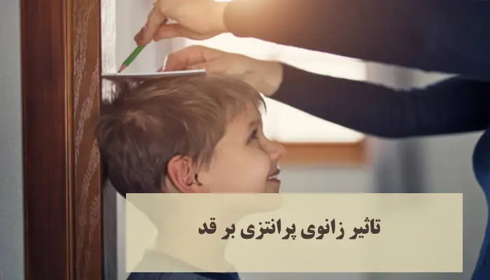 میزان تاثیر زانوی پرانتزی بر قد